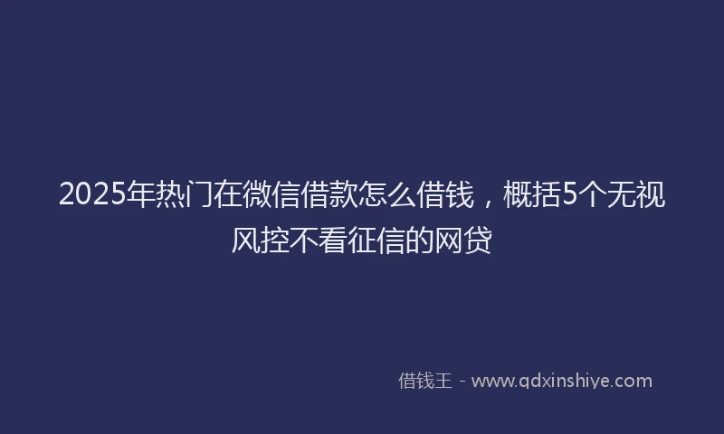 2025年热门在微信借款怎么借钱，概括5个无视风控不看征信的网贷