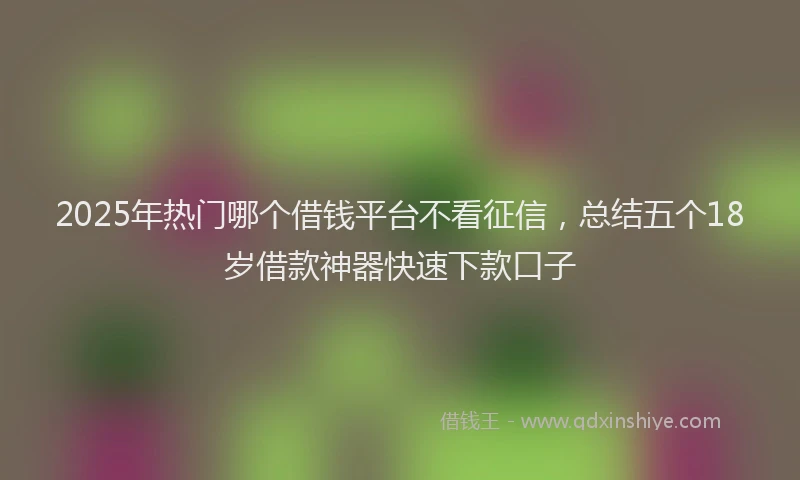 2025年热门哪个借钱平台不看征信，总结五个18岁借款神器快速下款口子