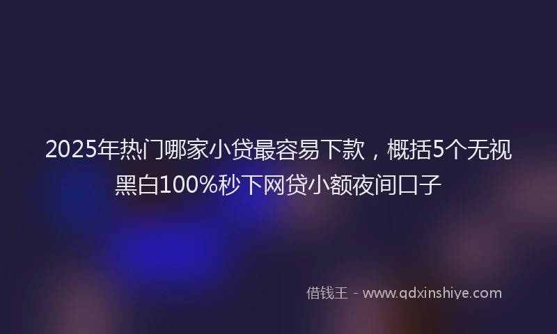 2025年热门哪家小贷最容易下款，概括5个无视黑白100%秒下网贷小额夜间口子
