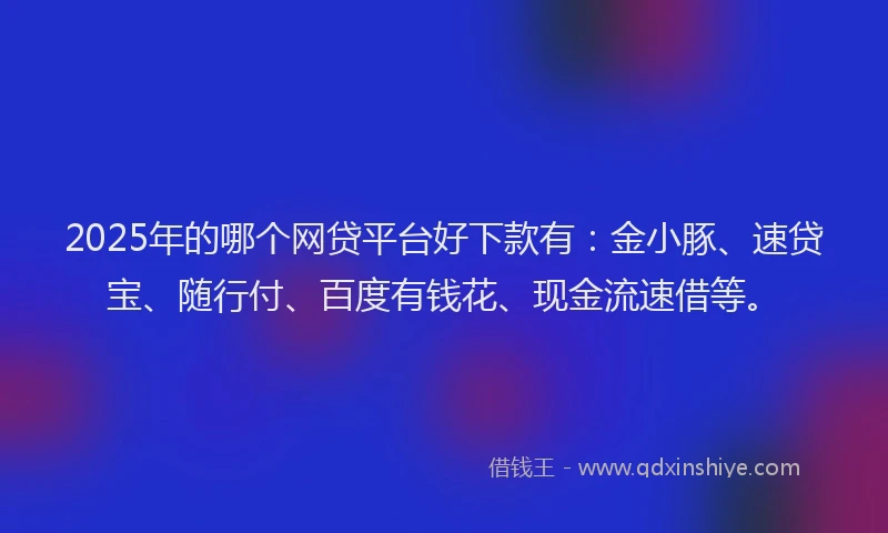2025年的哪个网贷平台好下款有：金小豚、速贷宝、随行付、百度有钱花、现金流速借等。