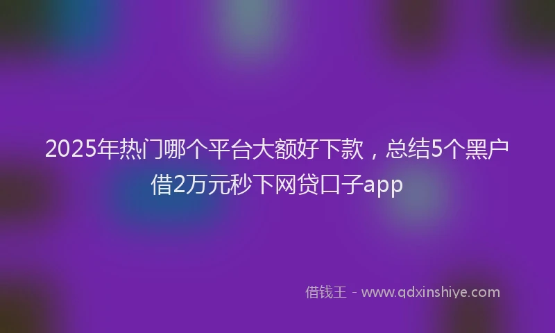 2025年热门哪个平台大额好下款，总结5个黑户借2万元秒下网贷口子app