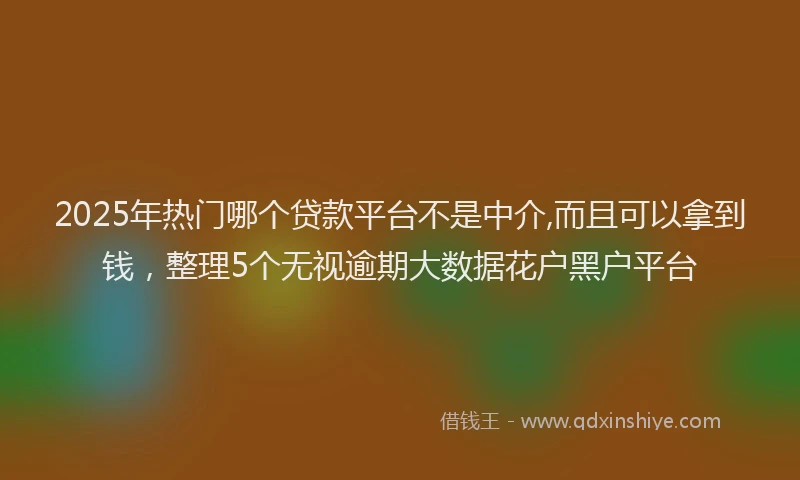 2025年热门哪个贷款平台不是中介,而且可以拿到钱，整理5个无视逾期大数据花户黑户平台