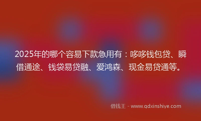 2025年的哪个容易下款急用有：哆哆钱包贷、瞬借通途、钱袋易贷融、爱鸿森、现金易贷通等。