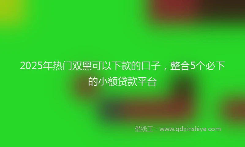 2025年热门双黑可以下款的口子，整合5个必下的小额贷款平台