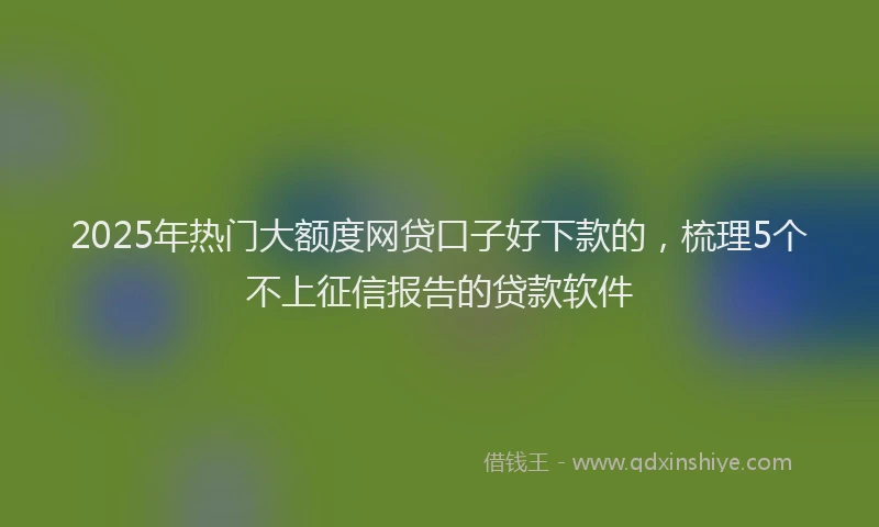 2025年热门大额度网贷口子好下款的，梳理5个不上征信报告的贷款软件