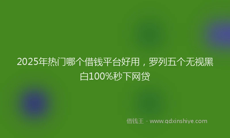 2025年热门哪个借钱平台好用，罗列五个无视黑白100%秒下网贷