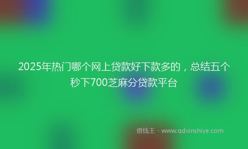2025年热门哪个网上贷款好下款多的，总结五个秒下700芝麻分贷款平台