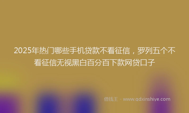 2025年热门哪些手机贷款不看征信，罗列五个不看征信无视黑白百分百下款网贷口子