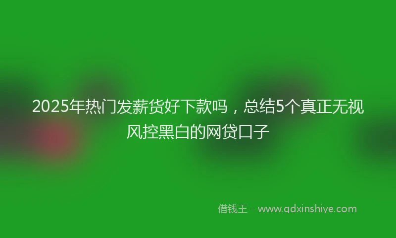 2025年热门发薪货好下款吗，总结5个真正无视风控黑白的网贷口子