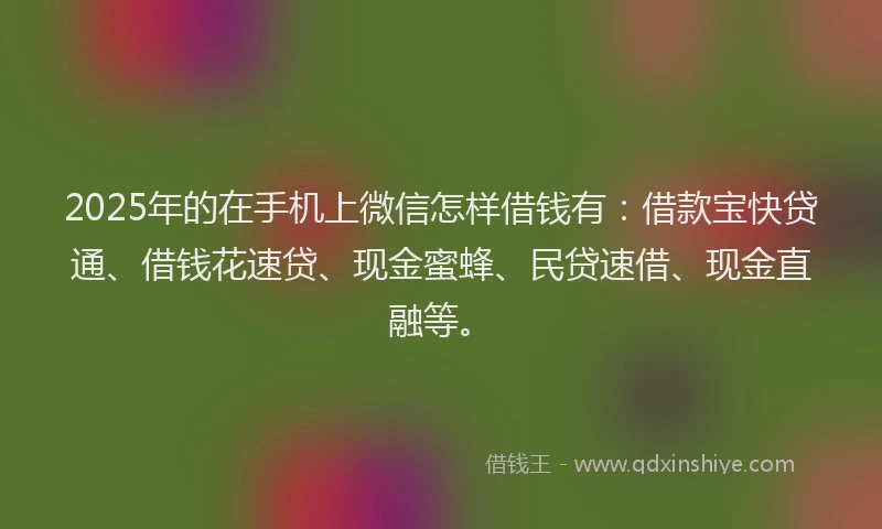 2025年的在手机上微信怎样借钱有：借款宝快贷通、借钱花速贷、现金蜜蜂、民贷速借、现金直融等。