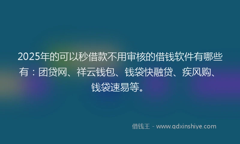 2025年的可以秒借款不用审核的借钱软件有哪些有：团贷网、祥云钱包、钱袋快融贷、疾风购、钱袋速易等。