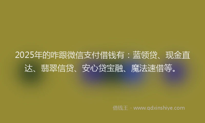 2025年的咋跟微信支付借钱有：蓝领贷、现金直达、翡翠信贷、安心贷宝融、魔法速借等。