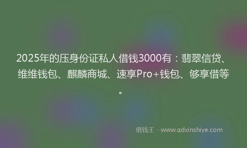 2025年的压身份证私人借钱3000有：翡翠信贷、维维钱包、麒麟商城、速享Pro+钱包、够享借等。