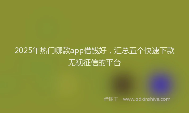 2025年热门哪款app借钱好，汇总五个快速下款无视征信的平台