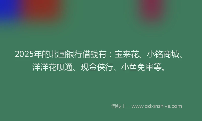 2025年的北国银行借钱有：宝来花、小铭商城、洋洋花呗通、现金侠行、小鱼免审等。