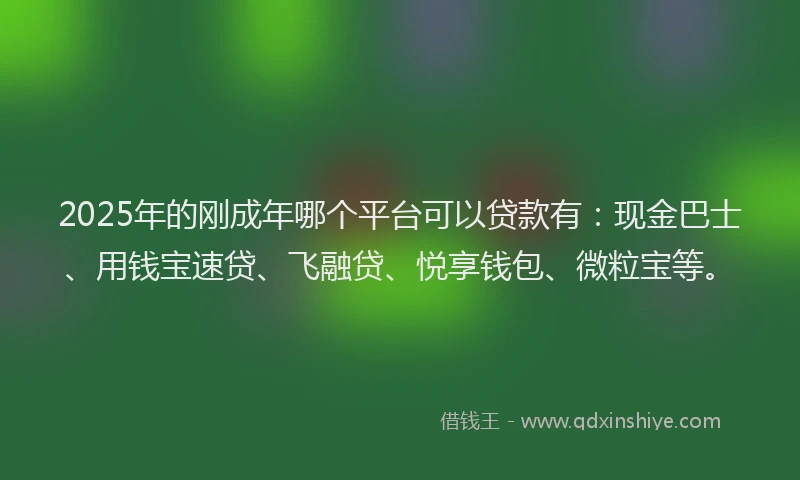 2025年的刚成年哪个平台可以贷款有：现金巴士、用钱宝速贷、飞融贷、悦享钱包、微粒宝等。