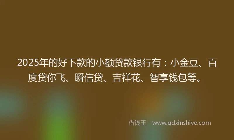 2025年的好下款的小额贷款银行有：小金豆、百度贷你飞、瞬信贷、吉祥花、智享钱包等。