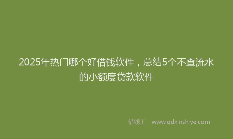 2025年热门哪个好借钱软件，总结5个不查流水的小额度贷款软件