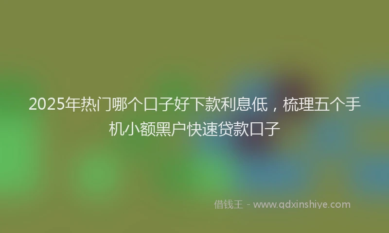 2025年热门哪个口子好下款利息低，梳理五个手机小额黑户快速贷款口子