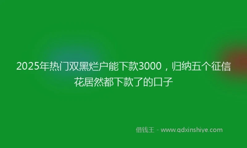 2025年热门双黑烂户能下款3000，归纳五个征信花居然都下款了的口子