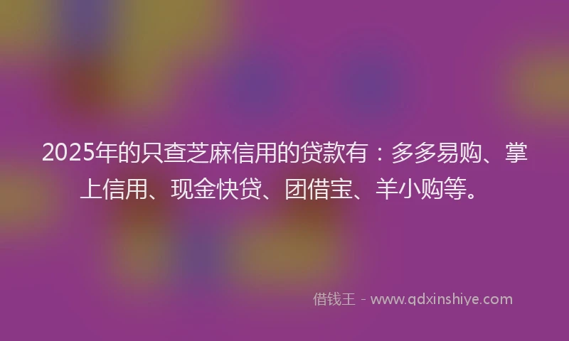 2025年的只查芝麻信用的贷款有：多多易购、掌上信用、现金快贷、团借宝、羊小购等。
