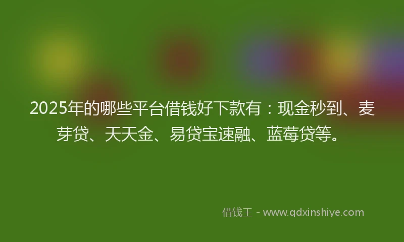 2025年的哪些平台借钱好下款有：现金秒到、麦芽贷、天天金、易贷宝速融、蓝莓贷等。