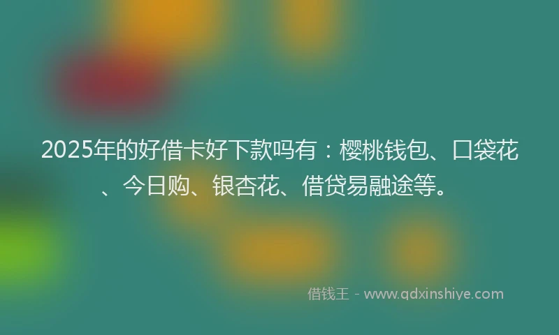 2025年的好借卡好下款吗有：樱桃钱包、口袋花、今日购、银杏花、借贷易融途等。