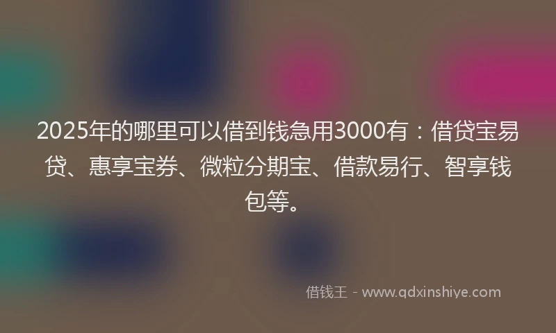 2025年的哪里可以借到钱急用3000有：借贷宝易贷、惠享宝券、微粒分期宝、借款易行、智享钱包等。