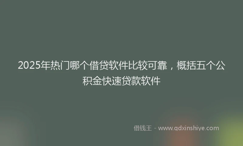 2025年热门哪个借贷软件比较可靠，概括五个公积金快速贷款软件