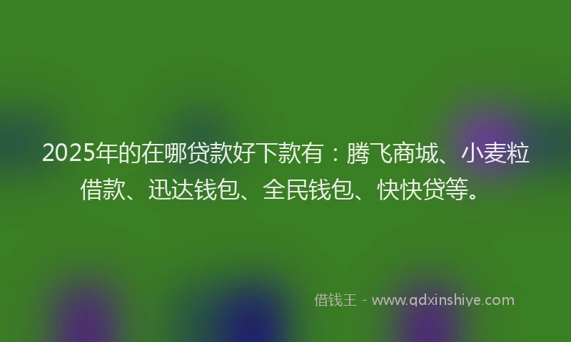 2025年的在哪贷款好下款有：腾飞商城、小麦粒借款、迅达钱包、全民钱包、快快贷等。