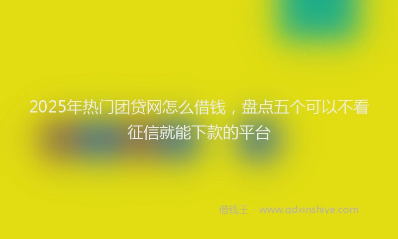 2025年热门团贷网怎么借钱，盘点五个可以不看征信就能下款的平台