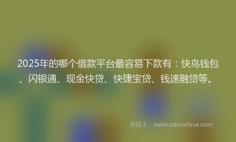2025年的哪个借款平台最容易下款有：快鸟钱包、闪银通、现金快贷、快捷宝贷、钱速融贷等。