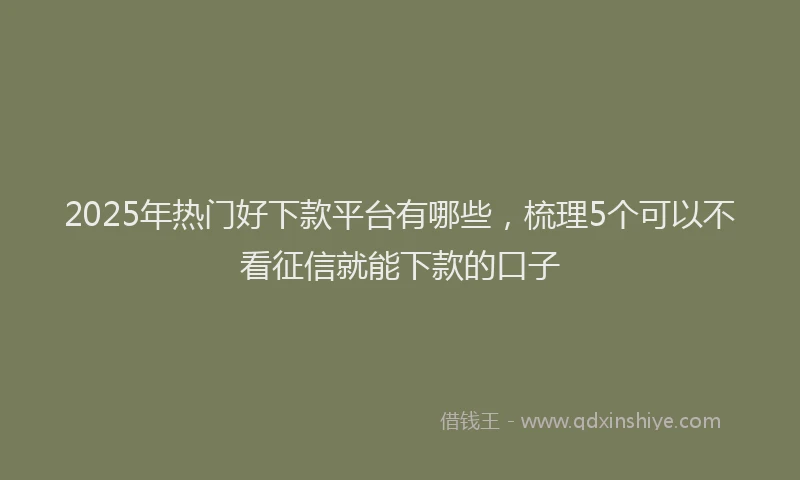 2025年热门好下款平台有哪些，梳理5个可以不看征信就能下款的口子