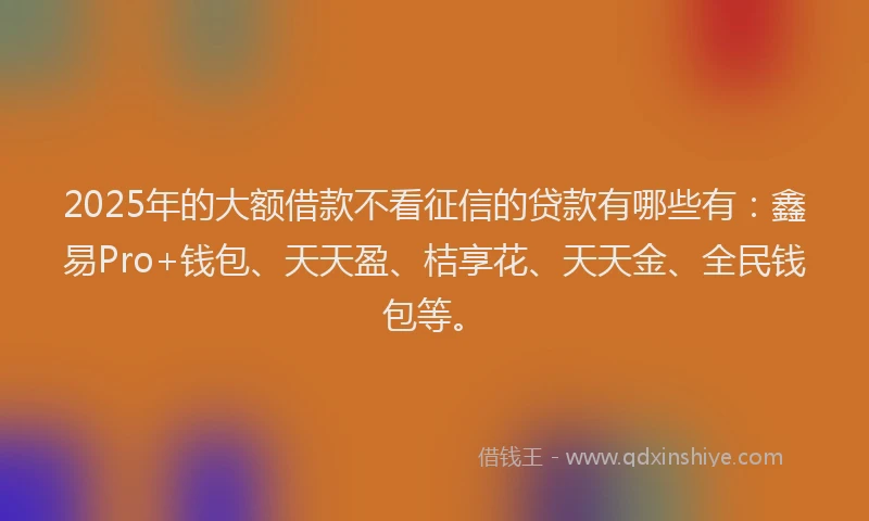 2025年的大额借款不看征信的贷款有哪些有：鑫易Pro+钱包、天天盈、桔享花、天天金、全民钱包等。
