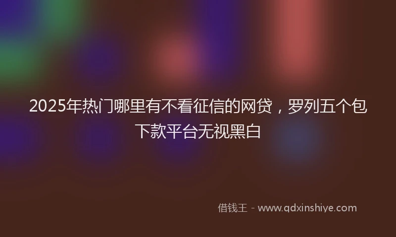 2025年热门哪里有不看征信的网贷，罗列五个包下款平台无视黑白
