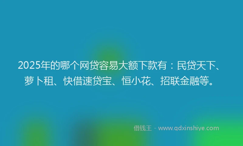 2025年的哪个网贷容易大额下款有：民贷天下、萝卜租、快借速贷宝、恒小花、招联金融等。