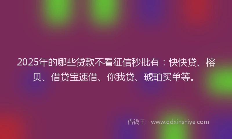 2025年的哪些贷款不看征信秒批有：快快贷、榕贝、借贷宝速借、你我贷、琥珀买单等。