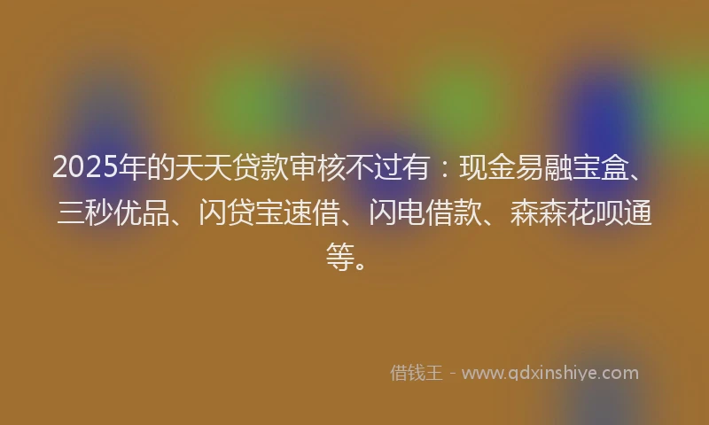 2025年的天天贷款审核不过有：现金易融宝盒、三秒优品、闪贷宝速借、闪电借款、森森花呗通等。