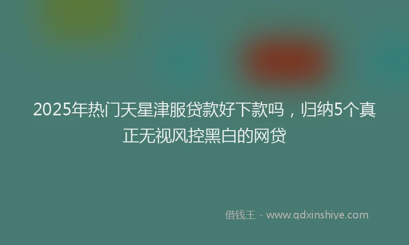 2025年热门天星津服贷款好下款吗，归纳5个真正无视风控黑白的网贷