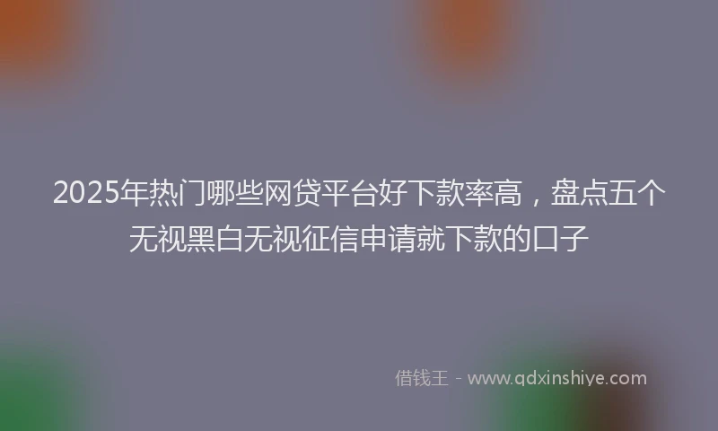 2025年热门哪些网贷平台好下款率高，盘点五个无视黑白无视征信申请就下款的口子