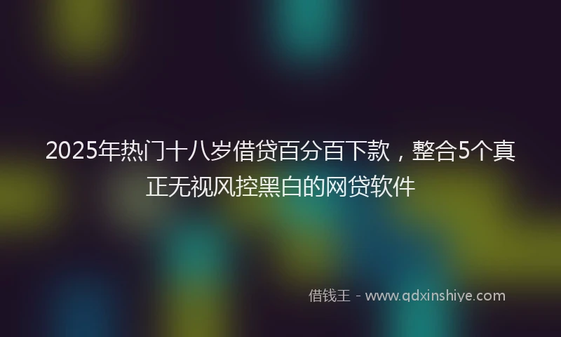 2025年热门十八岁借贷百分百下款，整合5个真正无视风控黑白的网贷软件