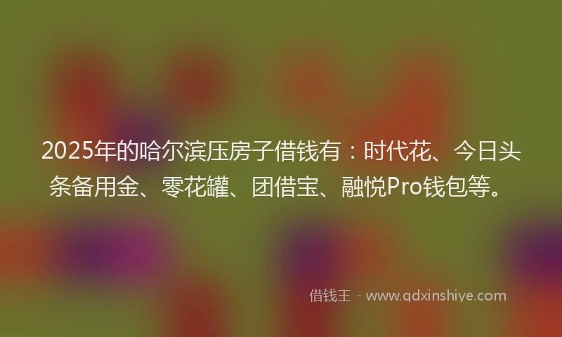 2025年的哈尔滨压房子借钱有：时代花、今日头条备用金、零花罐、团借宝、融悦Pro钱包等。