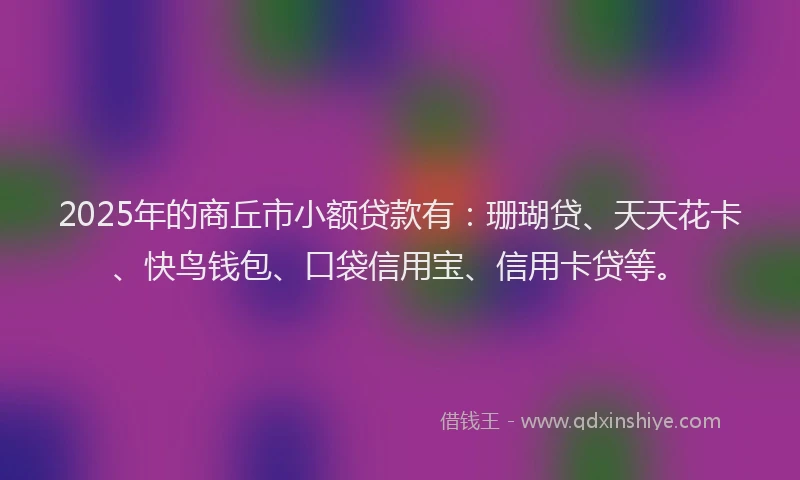 2025年的商丘市小额贷款有：珊瑚贷、天天花卡、快鸟钱包、口袋信用宝、信用卡贷等。