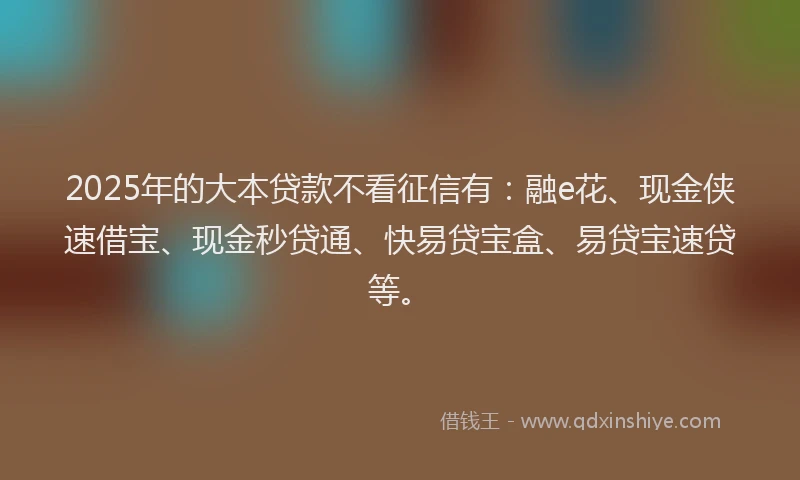2025年的大本贷款不看征信有：融e花、现金侠速借宝、现金秒贷通、快易贷宝盒、易贷宝速贷等。