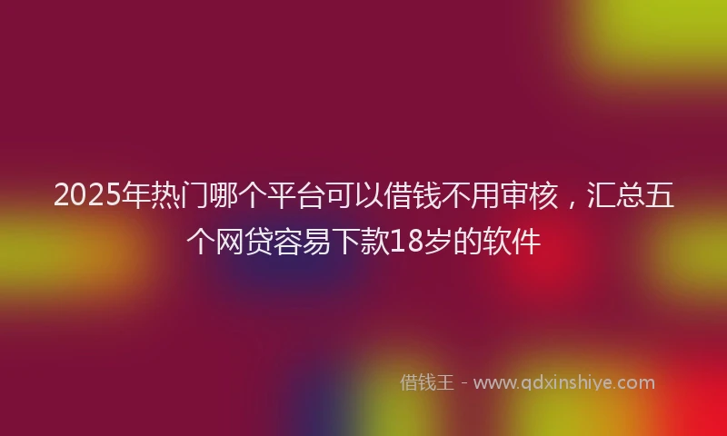 2025年热门哪个平台可以借钱不用审核，汇总五个网贷容易下款18岁的软件
