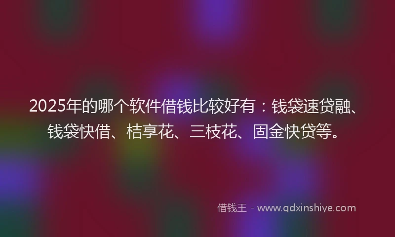 2025年的哪个软件借钱比较好有：钱袋速贷融、钱袋快借、桔享花、三枝花、固金快贷等。