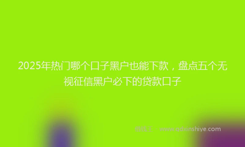 2025年热门哪个口子黑户也能下款，盘点五个无视征信黑户必下的贷款口子