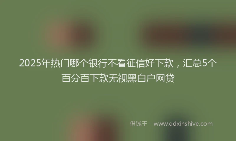 2025年热门哪个银行不看征信好下款，汇总5个百分百下款无视黑白户网贷