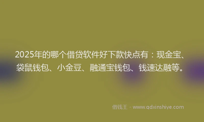 2025年的哪个借贷软件好下款快点有：现金宝、袋鼠钱包、小金豆、融通宝钱包、钱速达融等。