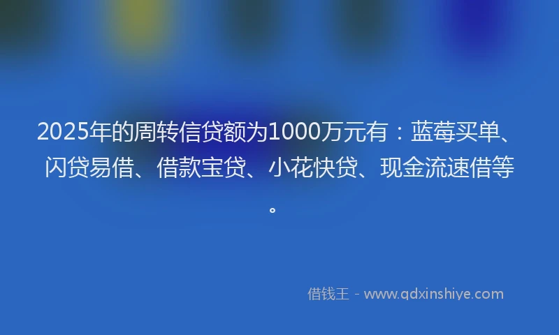 2025年的周转信贷额为1000万元有：蓝莓买单、闪贷易借、借款宝贷、小花快贷、现金流速借等。